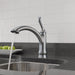 1353-AR-DST Kitchen/Kitchen Faucets/Kitchen Faucets Without Spray