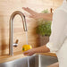 4931.380.002 Kitchen/Kitchen Faucets/Pull Down Spray Faucets