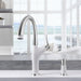 442036 Kitchen/Kitchen Faucets/Pull Down Spray Faucets