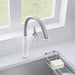 442036 Kitchen/Kitchen Faucets/Pull Down Spray Faucets
