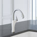 442036 Kitchen/Kitchen Faucets/Pull Down Spray Faucets