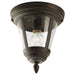 P3883-20 Lighting/Outdoor Lighting/Outdoor Flush & Semi-flush Lights