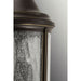 P5550-20 Lighting/Outdoor Lighting/Outdoor Pendants