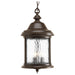 P5550-20 Lighting/Outdoor Lighting/Outdoor Pendants