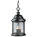 P5550-31 Lighting/Outdoor Lighting/Outdoor Pendants