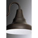P5623-20 Lighting/Outdoor Lighting/Outdoor Wall Lights