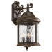 P5650-20 Lighting/Outdoor Lighting/Outdoor Wall Lights