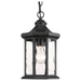 P6529-31 Lighting/Outdoor Lighting/Outdoor Pendants