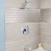 1660509.002 Bathroom/Bathroom Tub & Shower Faucets/Showerheads