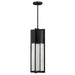 1328BK Lighting/Outdoor Lighting/Outdoor Pendants