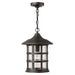 1802OZ Lighting/Outdoor Lighting/Outdoor Flush & Semi-flush Lights