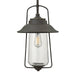 2862OZ Lighting/Outdoor Lighting/Outdoor Pendants