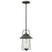 2862OZ Lighting/Outdoor Lighting/Outdoor Pendants