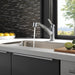 4140-AR-DST Kitchen/Kitchen Faucets/Pull Out Spray Faucets