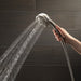 54436-SS-PK Bathroom/Bathroom Tub & Shower Faucets/Handshowers