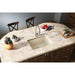 ELXU2522PA0 Kitchen/Kitchen Sinks/Undermount Kitchen Sinks