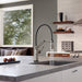 64225LF-PN Kitchen/Kitchen Faucets/Kitchen Faucets Without Spray