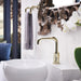 65035LF-PN-ECO Bathroom/Bathroom Sink Faucets/Single Hole Sink Faucets