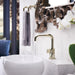 65035LF-PN-ECO Bathroom/Bathroom Sink Faucets/Single Hole Sink Faucets