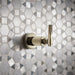 T66633-PN Bathroom/Bathroom Tub & Shower Faucets/Tub & Shower Diverters & Volume Controls