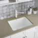 401927 Kitchen/Kitchen Sinks/Dual Mount Kitchen Sinks