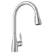442208 Kitchen/Kitchen Faucets/Pull Down Spray Faucets