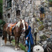 2805DZ Lighting/Outdoor Lighting/Outdoor Wall Lights