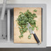 235010 Kitchen/Kitchen Sink Accessories/Other Kitchen Sink Accessories