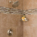 T2232EPBN Bathroom/Bathroom Tub & Shower Faucets/Shower Only Faucet Trim