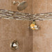 T2842EPBN Bathroom/Bathroom Tub & Shower Faucets/Shower Only Faucet Trim