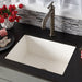 NSK2418-P Kitchen/Kitchen Sinks/Apron & Farmhouse Sinks