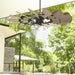 196015-86 Lighting/Ceiling Lights/Ceiling Fans
