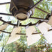 196015-86 Lighting/Ceiling Lights/Ceiling Fans