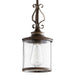 3073-39 Lighting/Ceiling Lights/Pendants