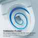 CST404CUFG#12 Bathroom/Toilets Bidets & Bidet Seats/Two Piece Toilets