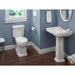 CST404CUFG#12 Bathroom/Toilets Bidets & Bidet Seats/Two Piece Toilets