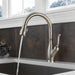 9178-SP-DST Kitchen/Kitchen Faucets/Pull Down Spray Faucets