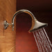 RP70909PN Parts & Maintenance/Bathtub & Shower Parts/Shower Arms