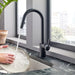7565BL Kitchen/Kitchen Faucets/Pull Down Spray Faucets