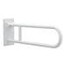 R8960FDW Bathroom/Bathroom Accessories/Grab Bars