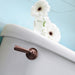 DN6801ORB Parts & Maintenance/Toilet Parts/Trip Levers