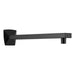 RP90243BL Parts & Maintenance/Bathtub & Shower Parts/Shower Arms