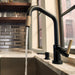 64063LF-PN Kitchen/Kitchen Faucets/Pull Down Spray Faucets