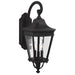 OL5422BK Lighting/Outdoor Lighting/Outdoor Wall Lights