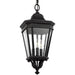 OL5431BK Lighting/Outdoor Lighting/Outdoor Pendants