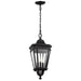 OL5431BK Lighting/Outdoor Lighting/Outdoor Pendants