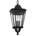OL5432BK Lighting/Outdoor Lighting/Outdoor Pendants