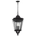 OL5432BK Lighting/Outdoor Lighting/Outdoor Pendants