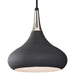 P1253BK Lighting/Ceiling Lights/Pendants