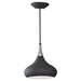P1253BK Lighting/Ceiling Lights/Pendants